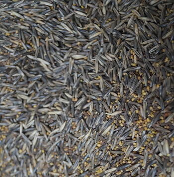 viterra ® UNIVERSAL, Saatgut