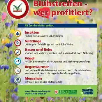 Feldschild Zwischenfrüchte: Blühstreifen - wer profitiert?