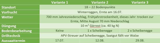 Drei verschiedene Aussaattermine der Zwischenfrucht