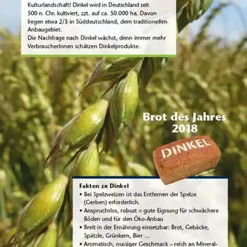 Feldschild Dinkel