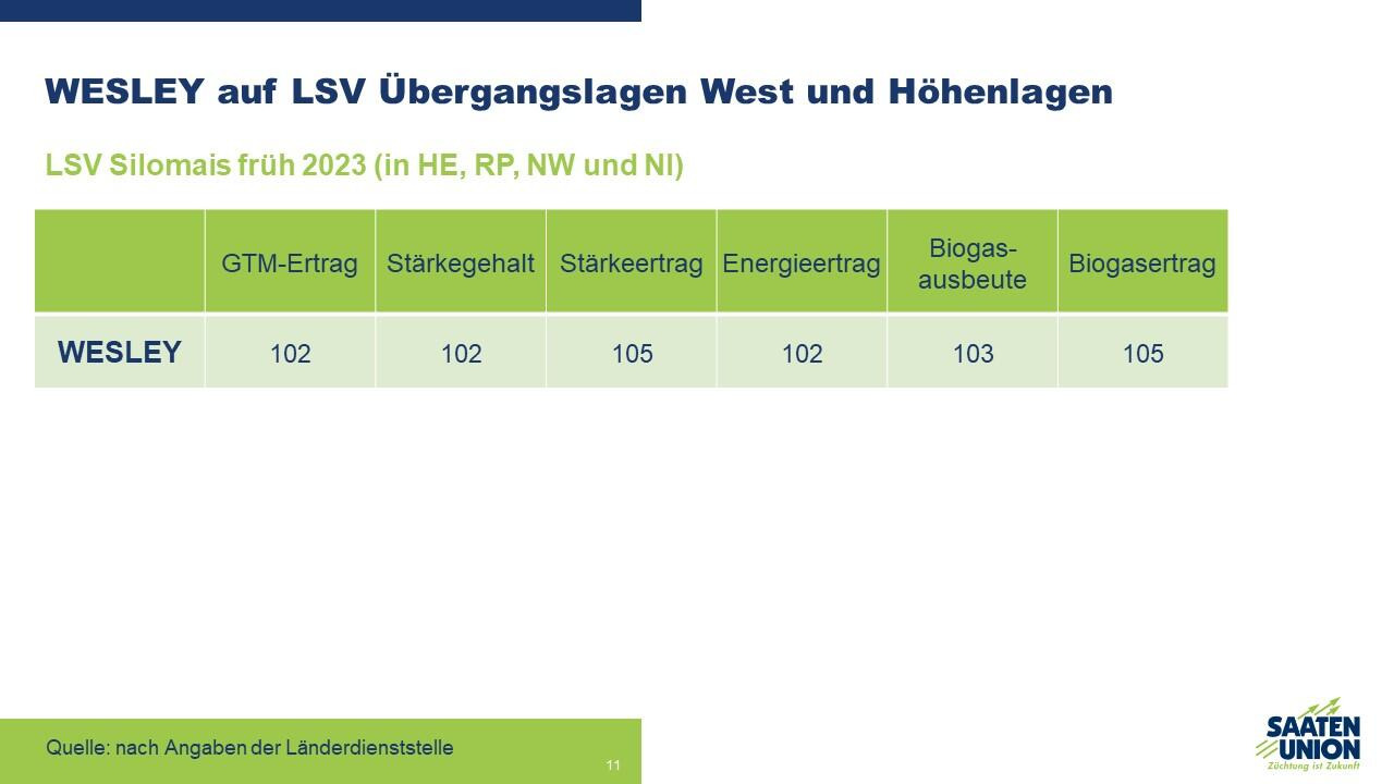 WESLEY auf Übergangslagen in den LSV