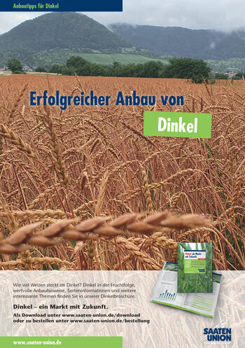 Anbauinfo Dinkel_2024